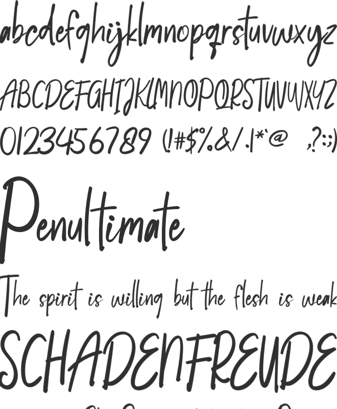 South Amsterdam font preview