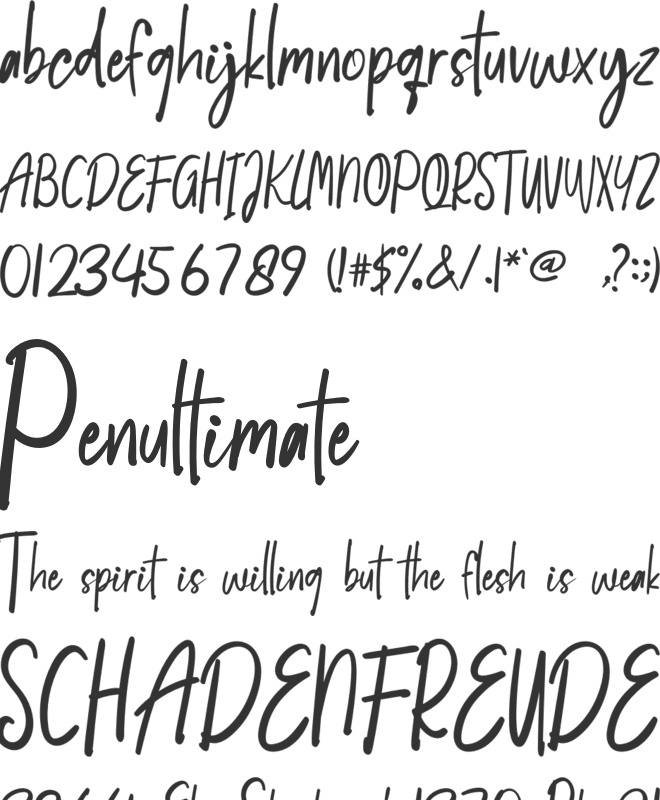 South Amsterdam font preview