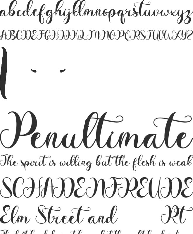Vacation Monogram font preview
