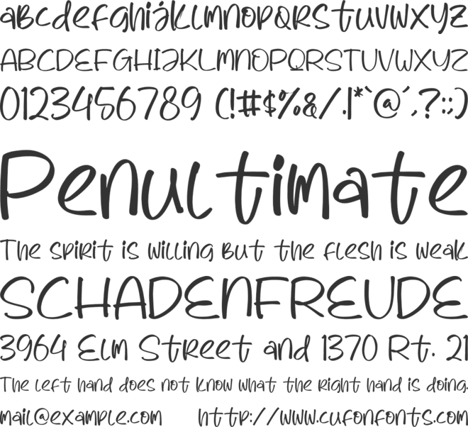 cute bear font preview