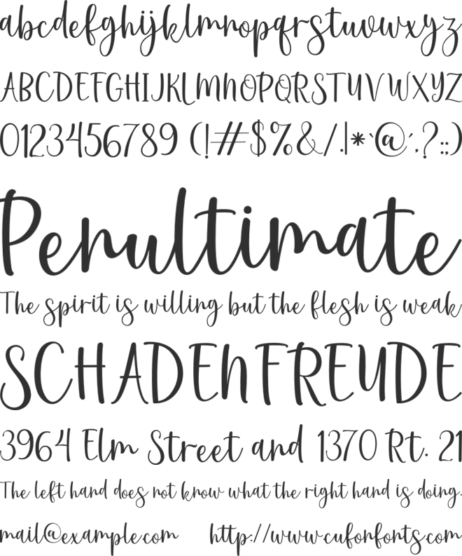 First time font preview