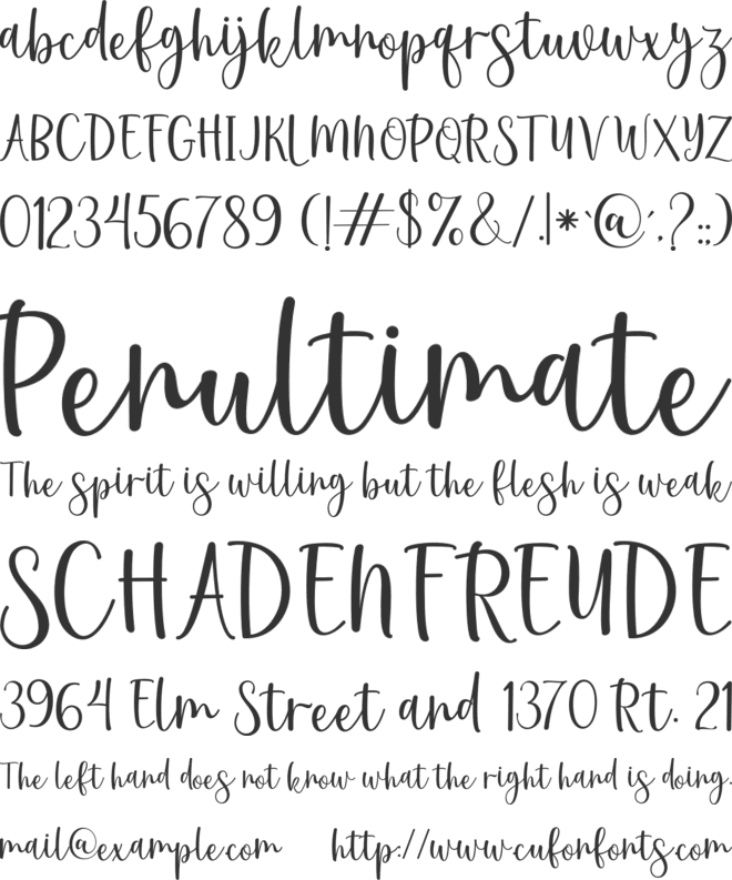 First time font preview