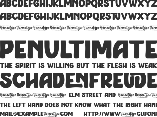 Riser Personal Use font preview