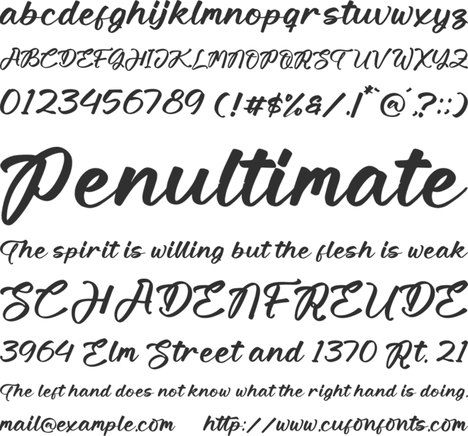 Homestay font preview