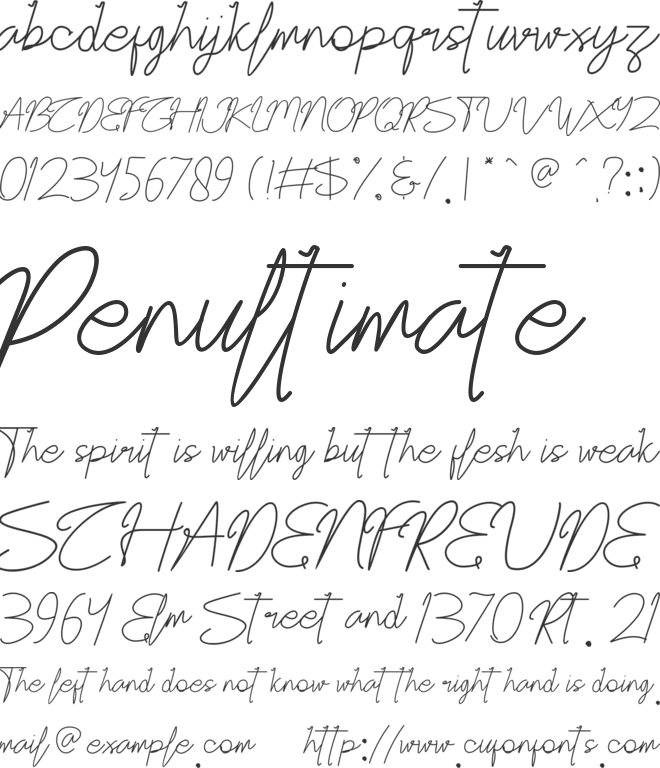 Christine Pallmer font preview