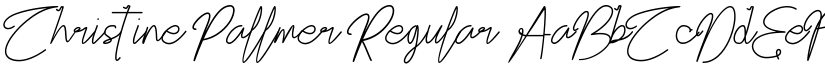 Christine Pallmer Regular font