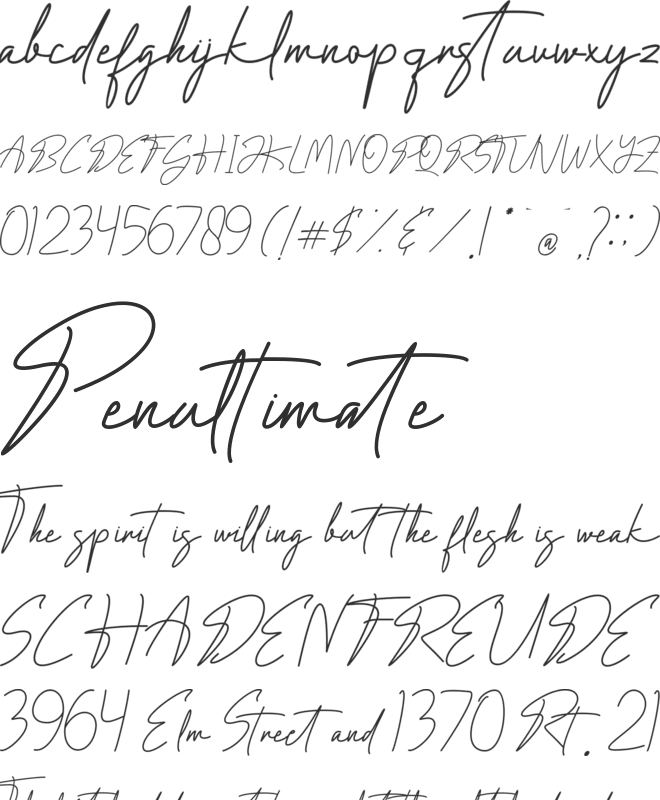 Paradigma Signature font preview