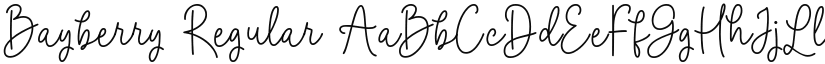 Bayberry font download