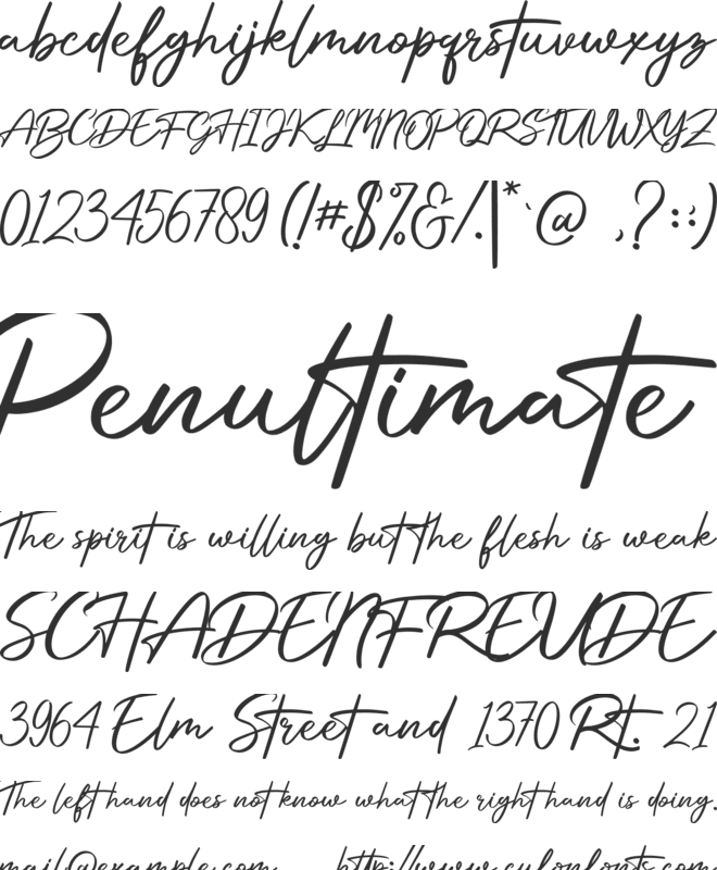 Procreate Signature font preview
