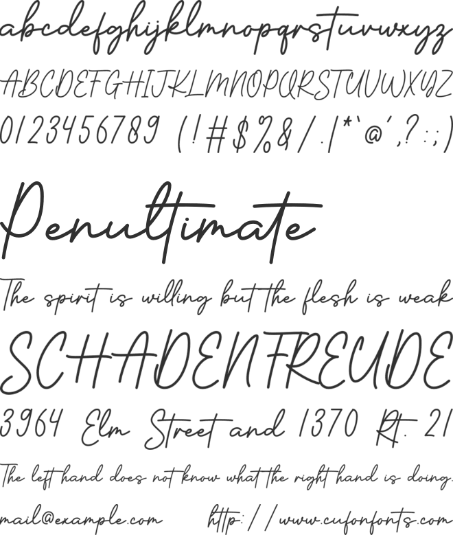 Brilliance Signature font preview