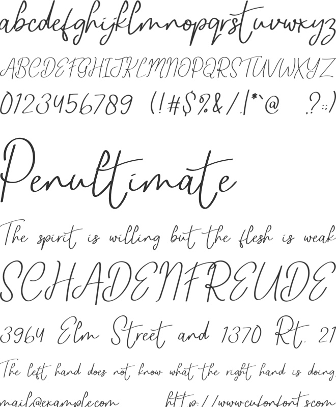 Vintage Aesthetic font preview