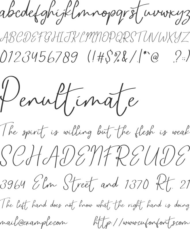 Vintage Aesthetic font preview