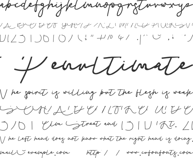 Siganature font preview