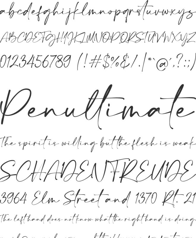 Calton Elegance Script font preview