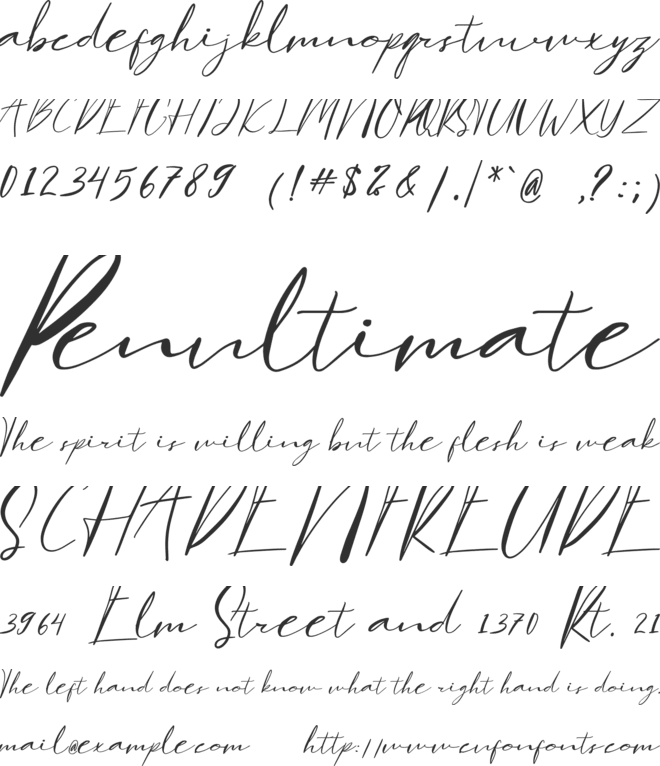Hamburgen Signature font preview