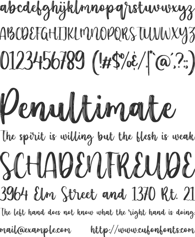 Younglife font preview