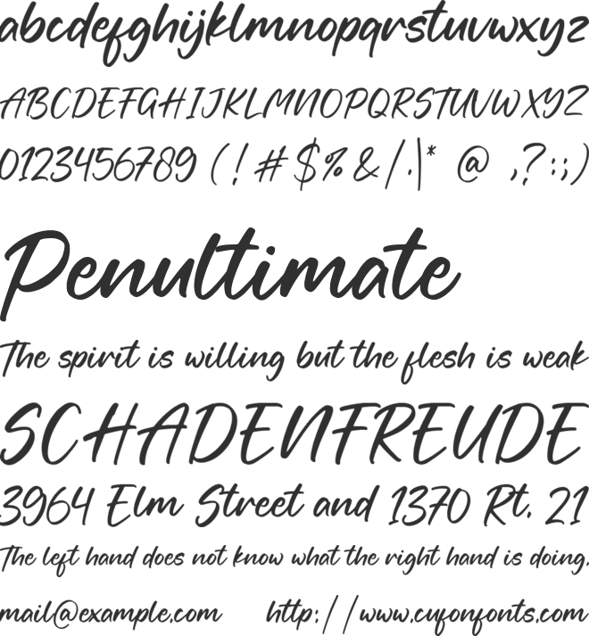 Fortune font preview