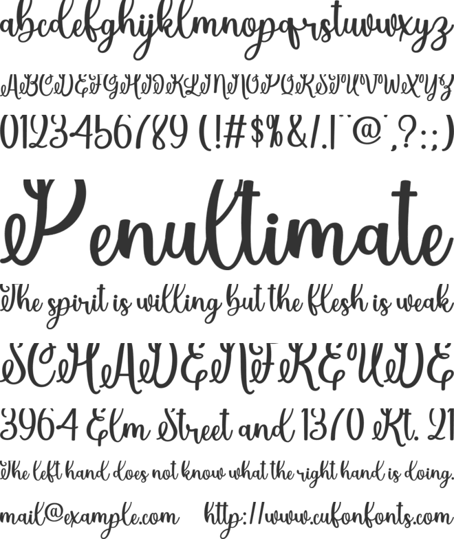 Handbag font preview