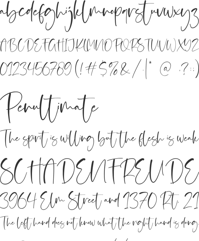 Signatica font preview