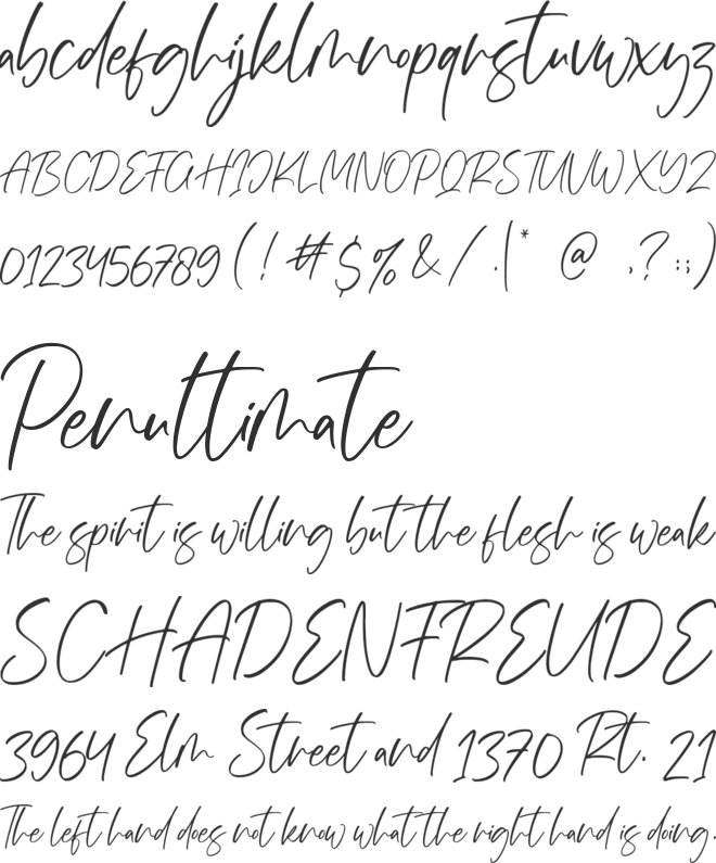 Rusticate font preview