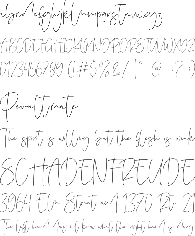 Purify Signature font preview