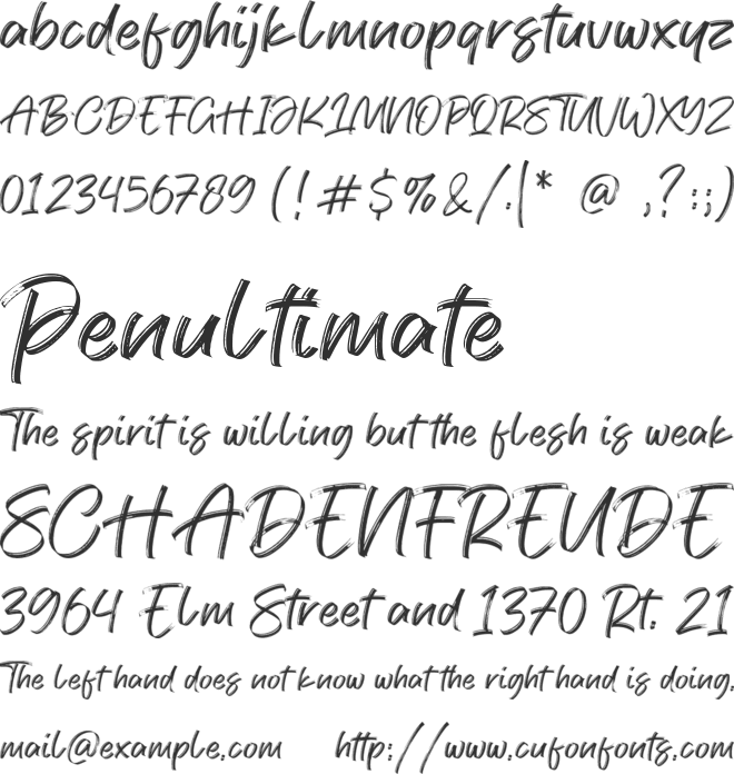 Modesty font preview