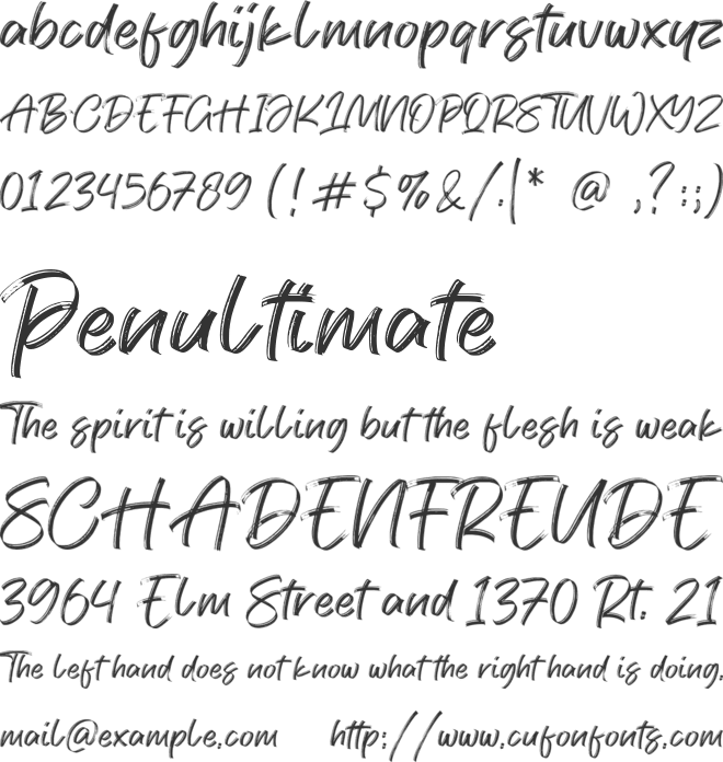 Modesty font preview