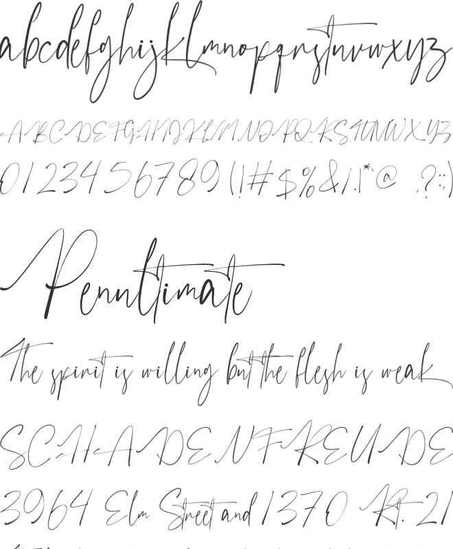 Austhedik font preview