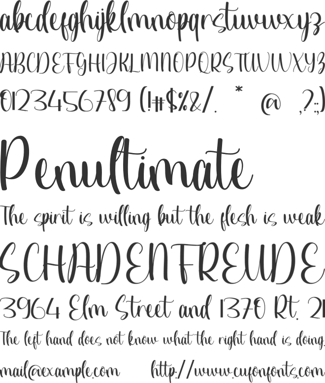 Skinner Rebecca font preview