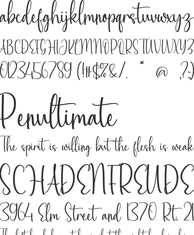 Molyani Signature font preview