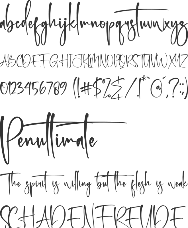 Amsterdam Bright font preview