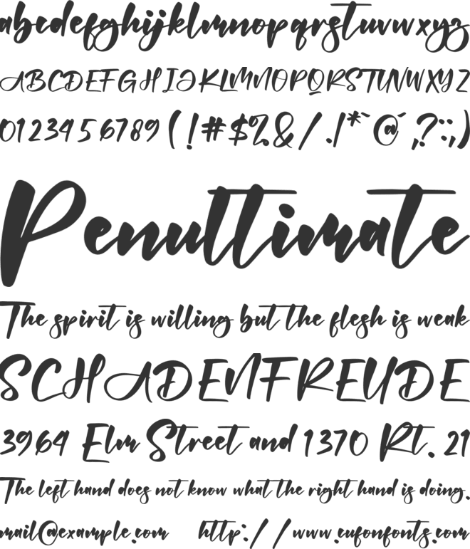 Abigaila font preview