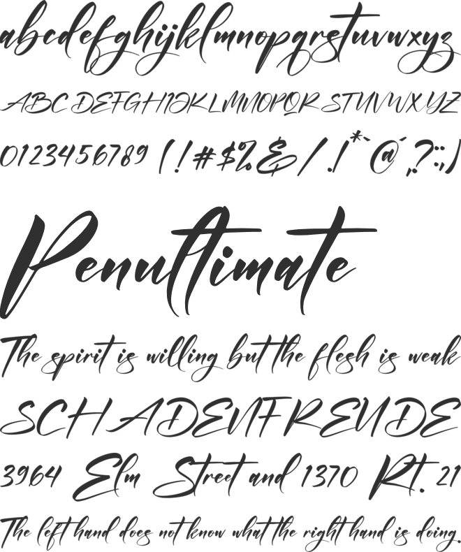 Andilanteria Signature font preview
