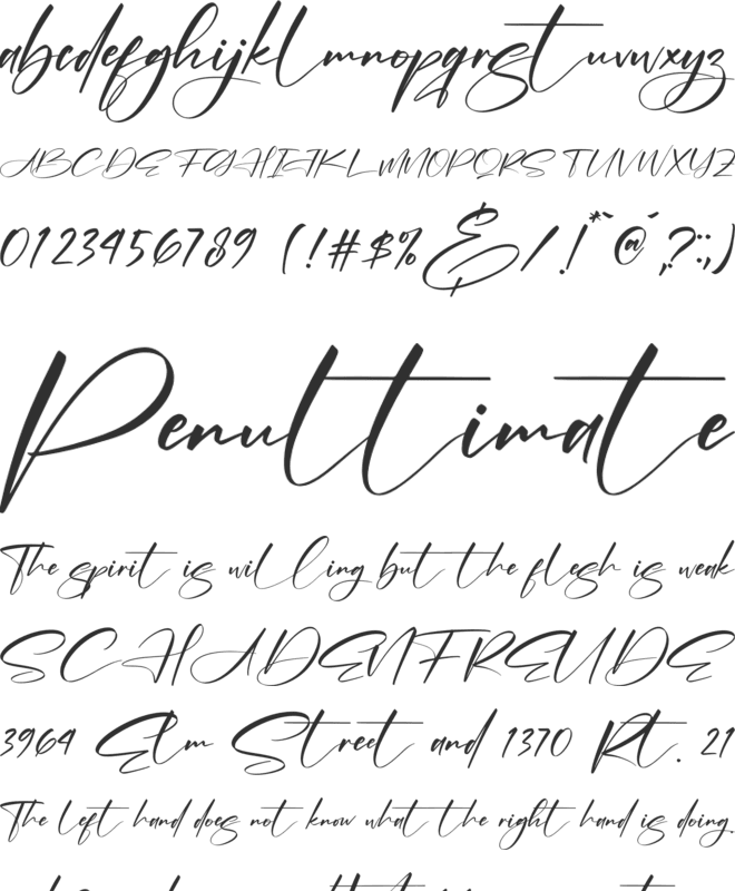 Alishanty Signature font preview