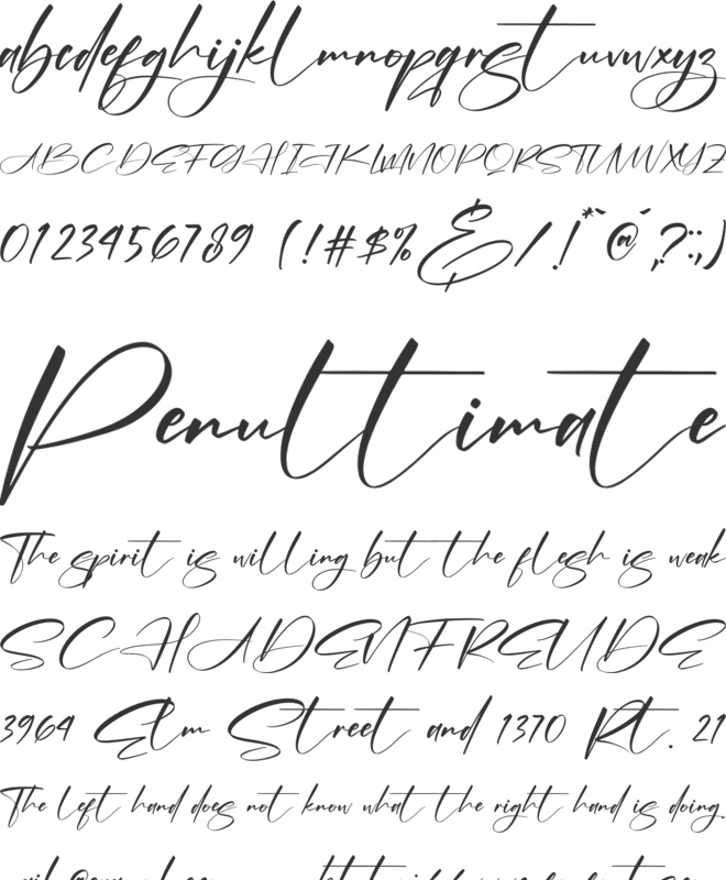 Alishanty Signature font preview