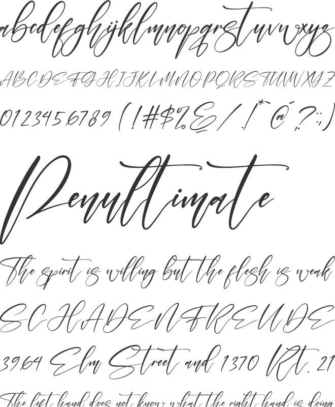 Felisha font preview