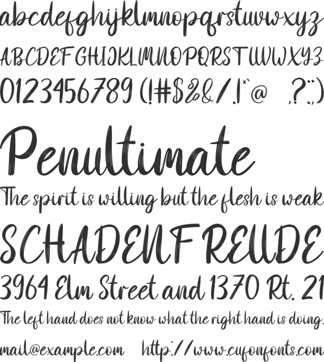 white scratches font preview