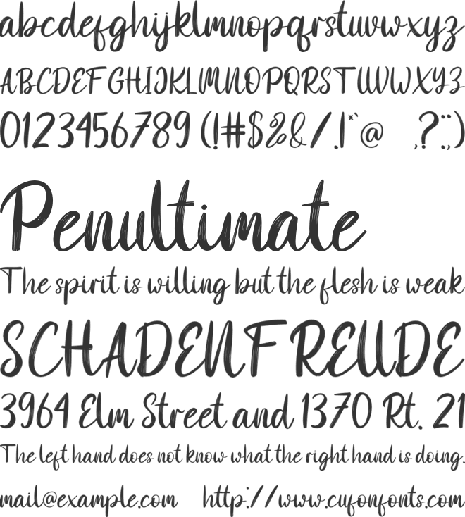 white scratches font preview