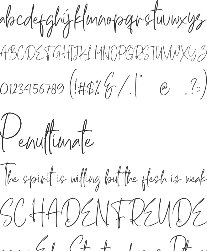 Hulya Script Handwritten Signature Font font preview
