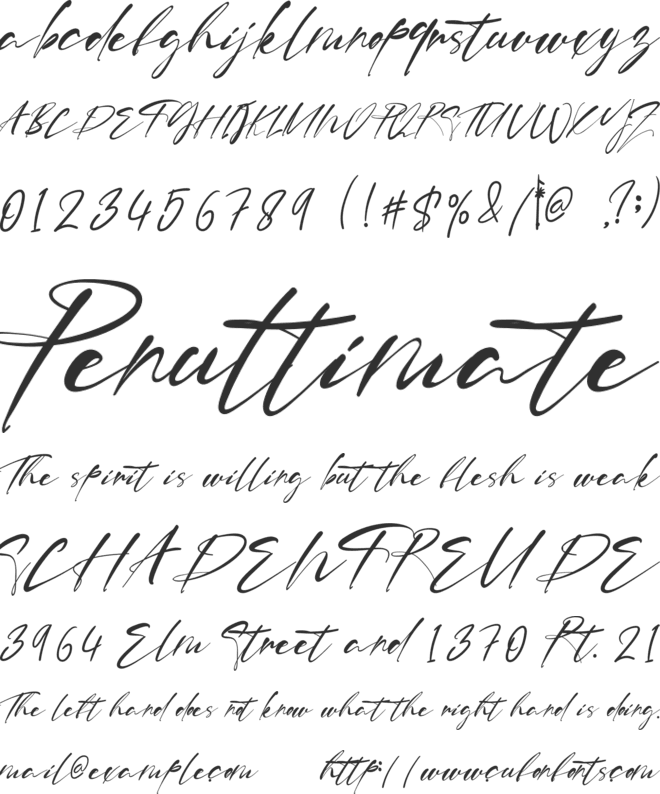 Charlie Perth font preview