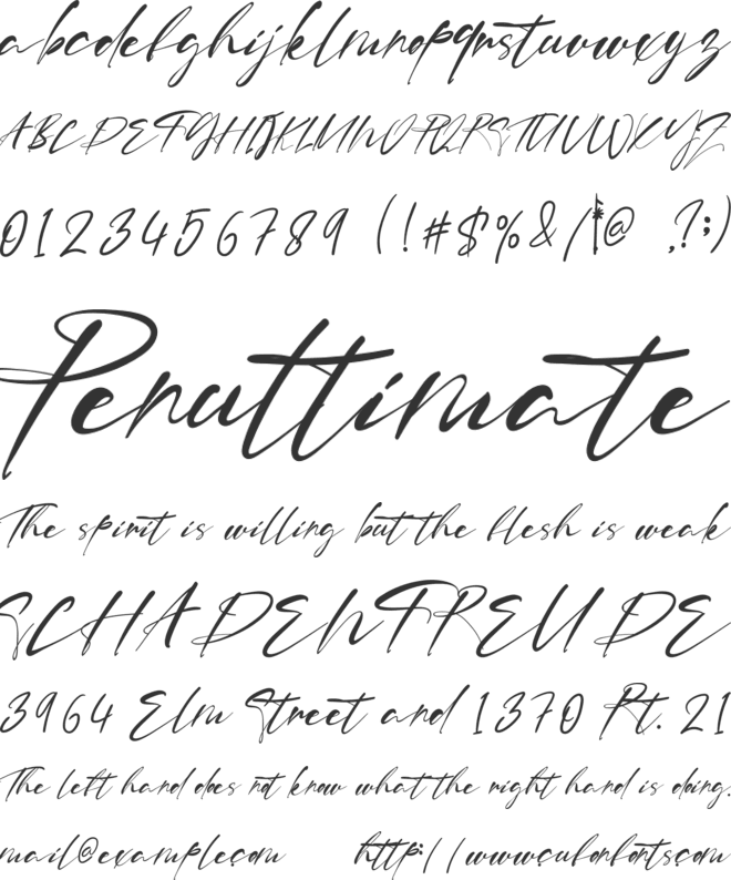 Charlie Perth font preview