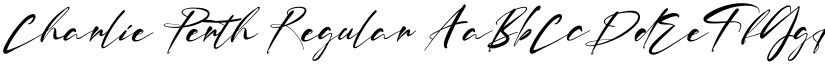 Charlie Perth Regular font