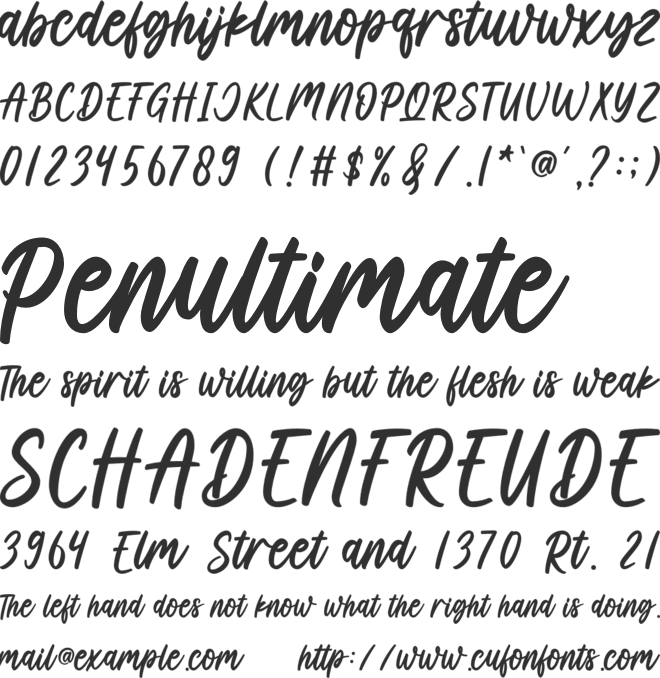 Boss Babe font preview