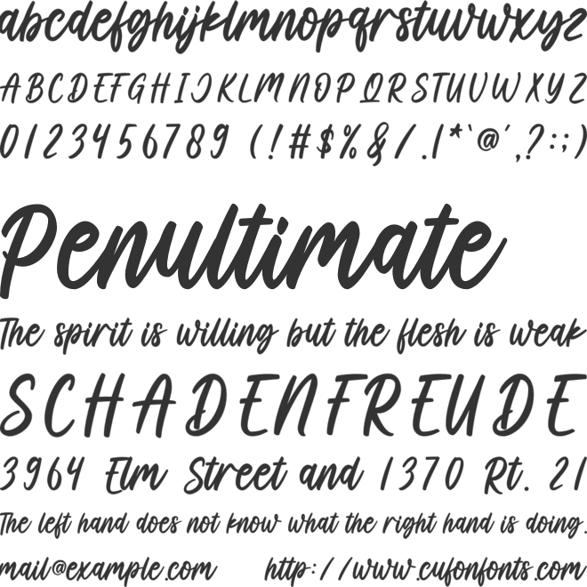 Boss Babe font preview