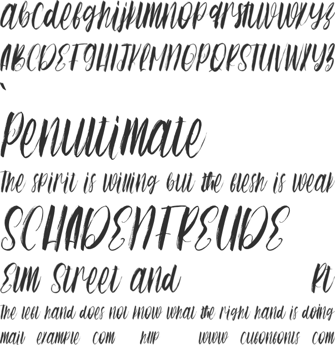 Switch Sister Free font preview