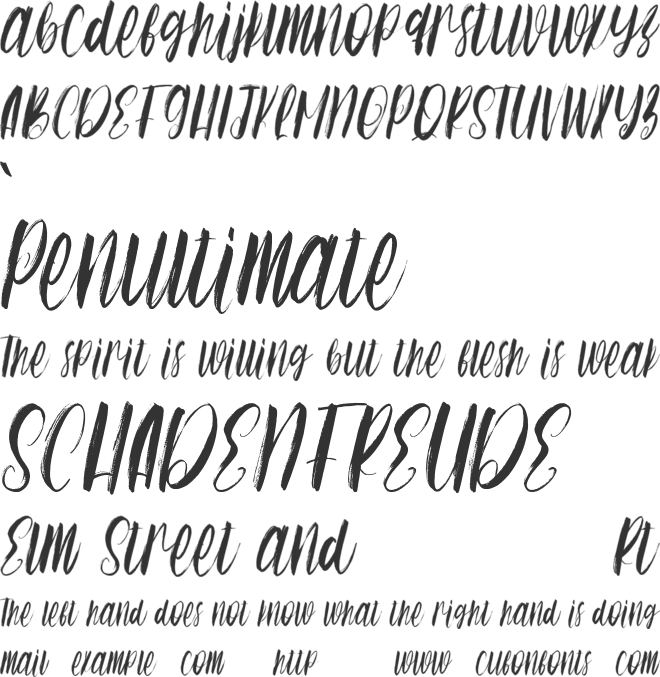 Switch Sister Free font preview