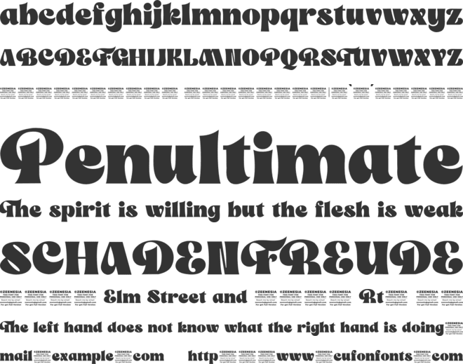 The Franky Dunkey Personal Use font preview