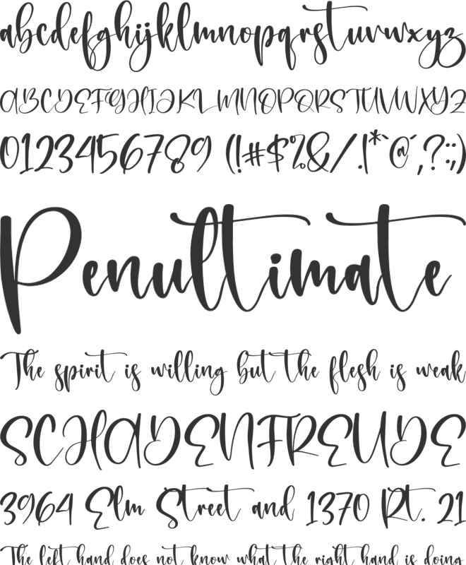 Beauty Victoria font preview