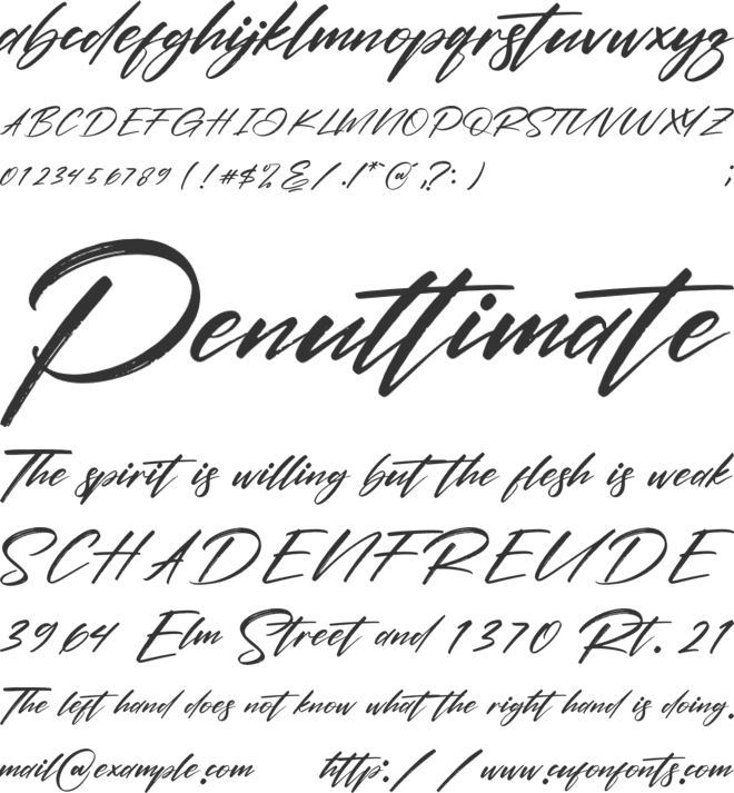 Relitha Patricia font preview