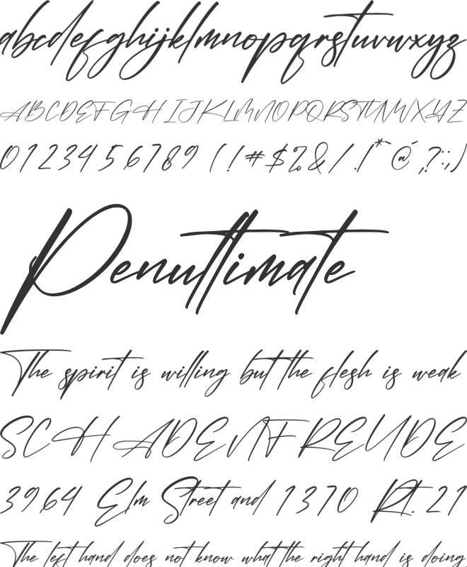 Polesteria font preview